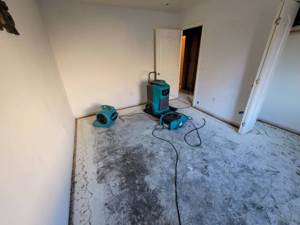 Best Flood restoration services  in Canby, OR