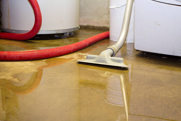 Best Water damage restoration near me  in Canby, OR