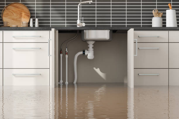 Best 24-hour water damage restoration  in Canby, OR